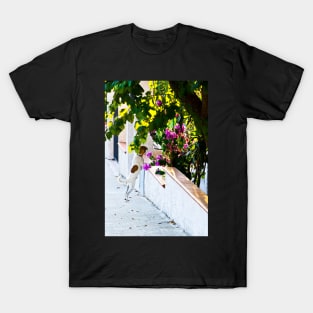 Dog staring at flowers T-Shirt